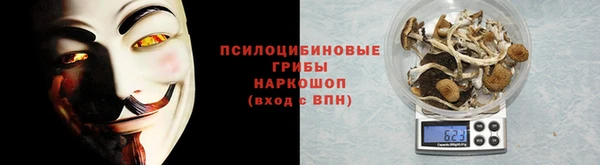 прущий лед Заводоуковск